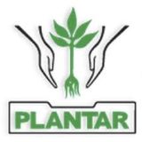 PLANTAR REFLORESTAMENTO